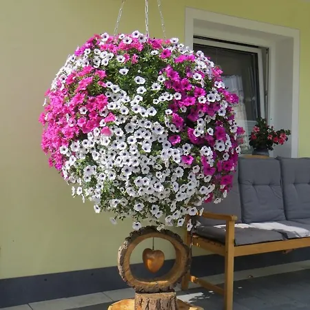 Apartment Almrausch